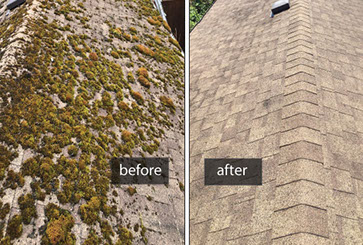 Cleaning Roof